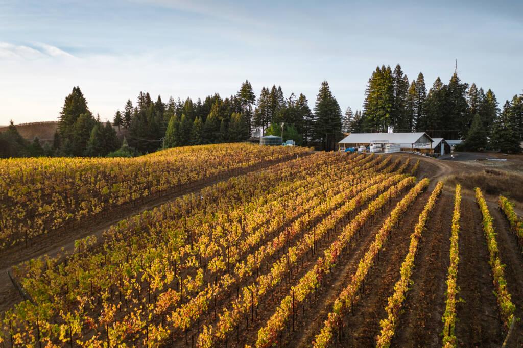 Our Vineyards & Viticulture