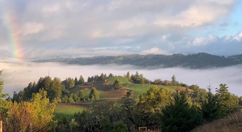 Spring 2025 Winemaker Letter