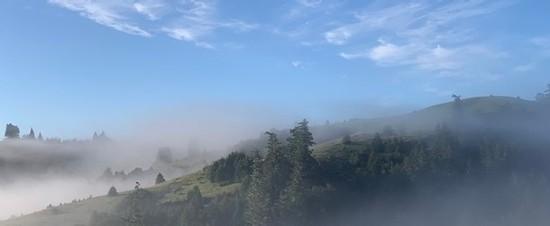 Morning fog at the East Ridge.