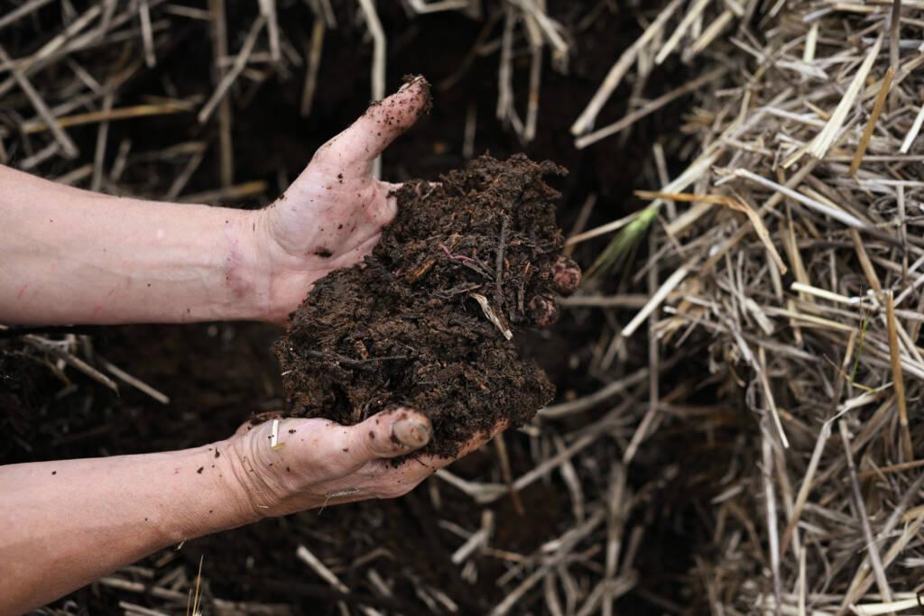 Hands holding contents of compost pile at Hirsch Vineyards