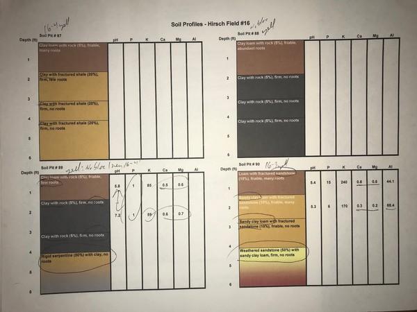 Maritime Fields Block 16 soil profiles