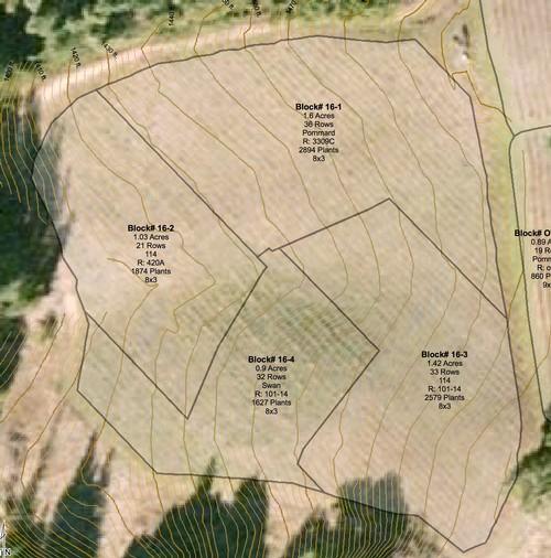 Maritime Fields Block 16 Map