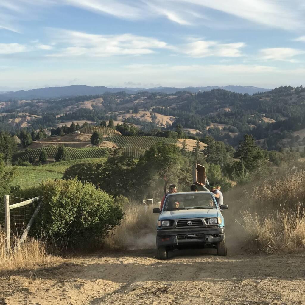 Men driving a car in the vineyard.