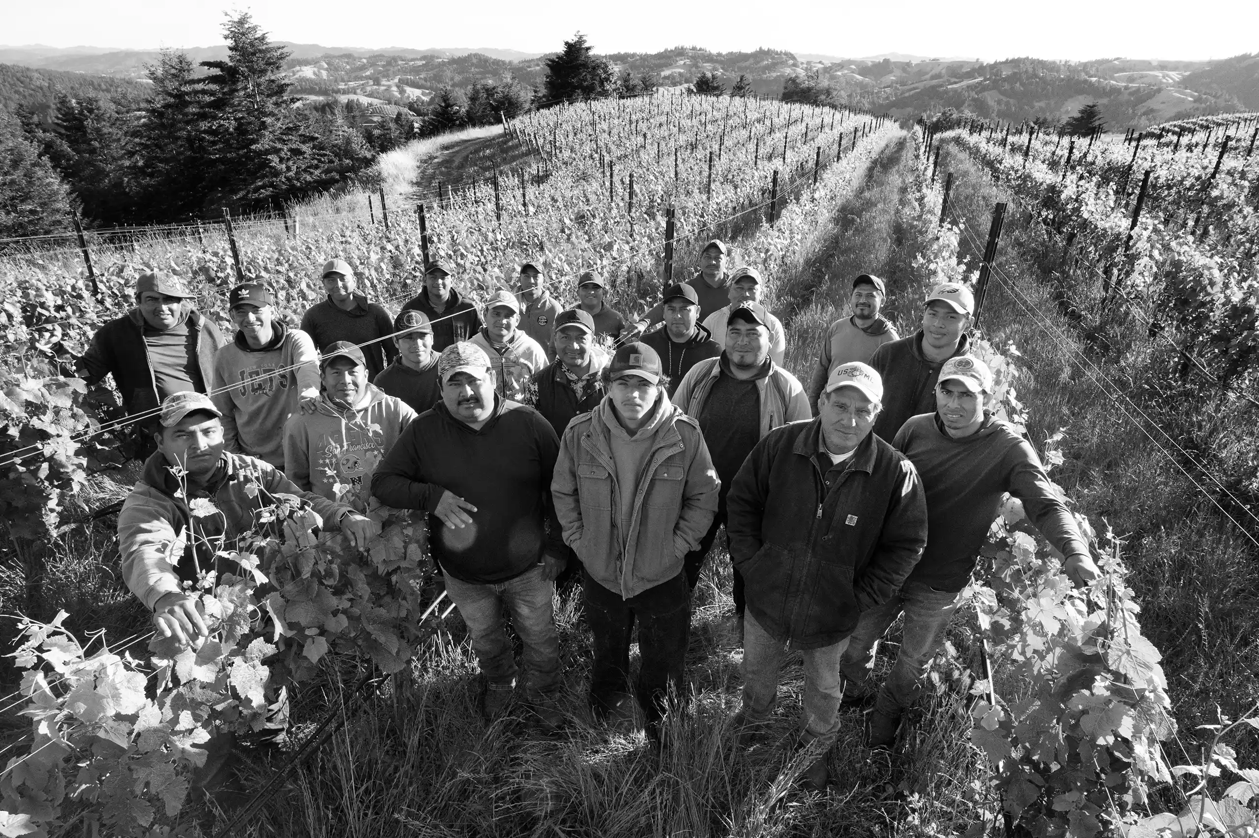 Vineyard Team