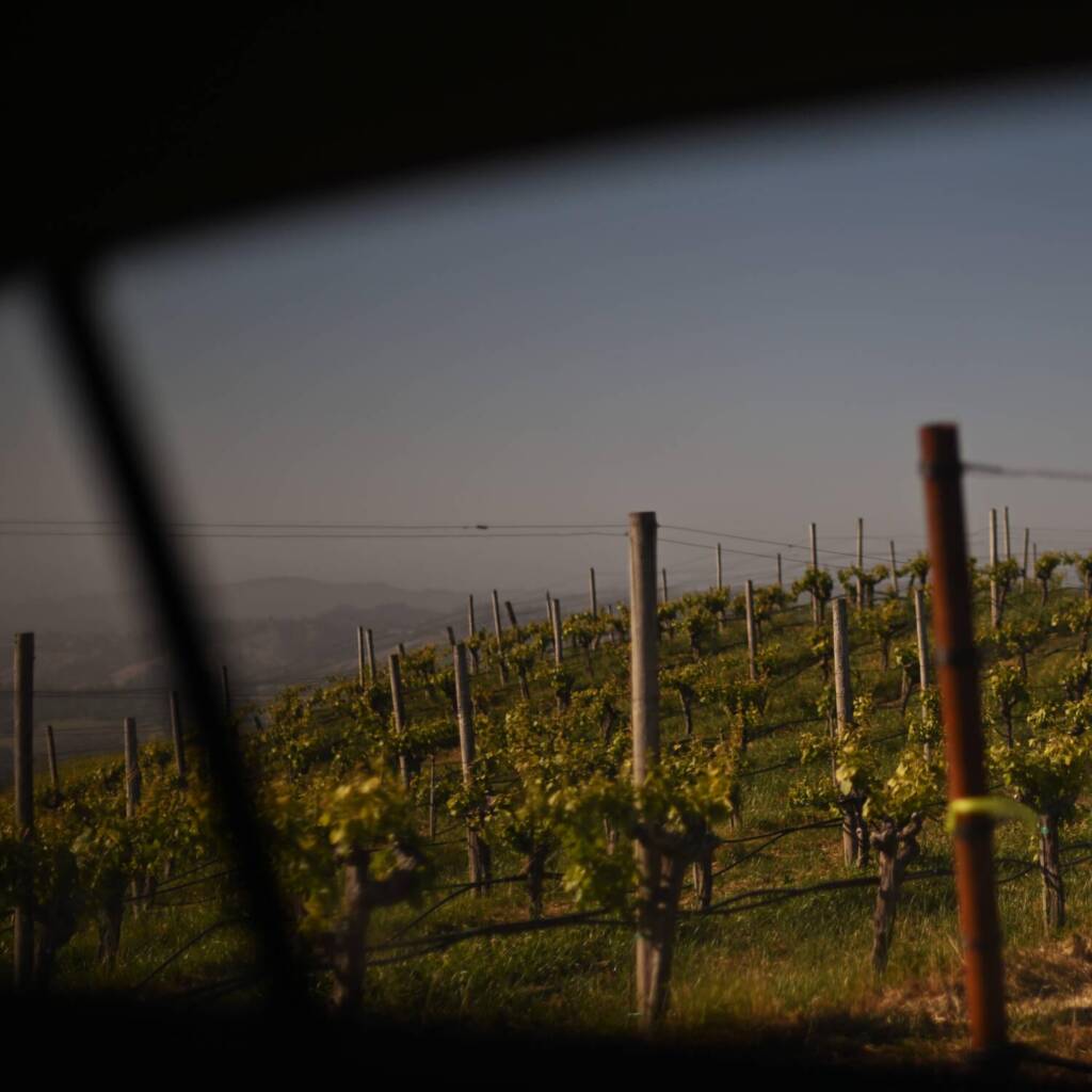 Hirsch Vineyards seen through car window