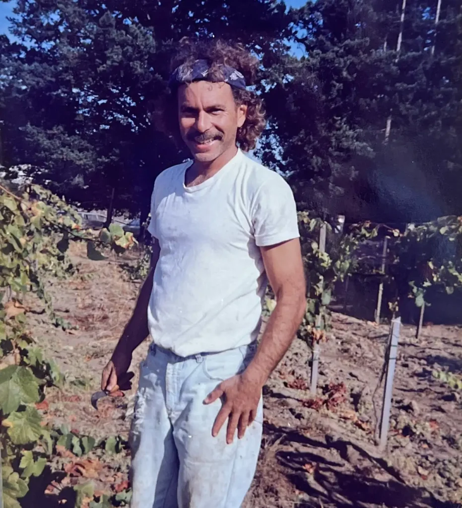 David in the vineyard