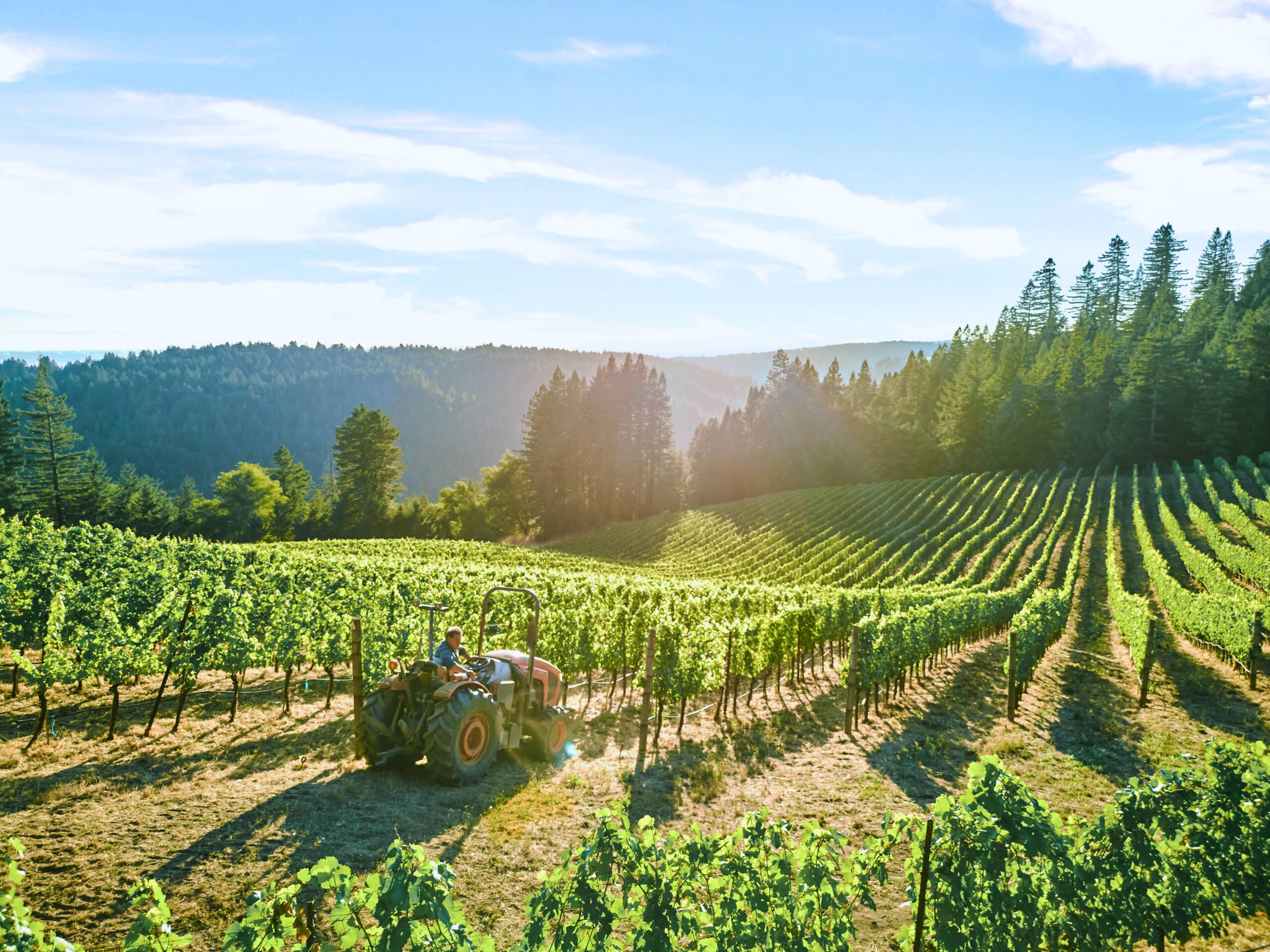 Hirsch Vineyards Farming on tractor